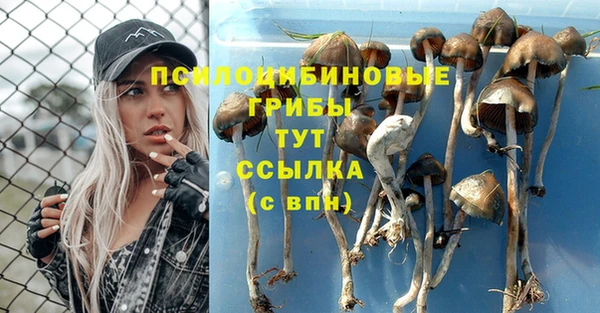 мяу мяу мука Абинск