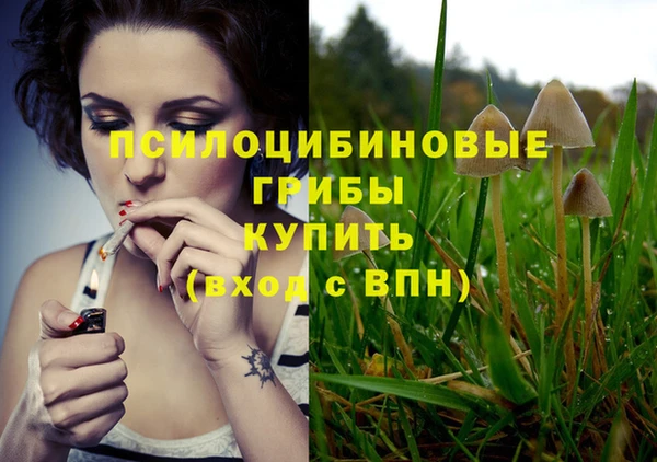 дмт Абаза