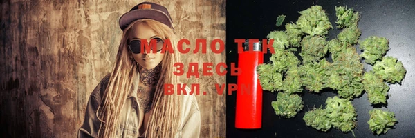 дмт Абаза