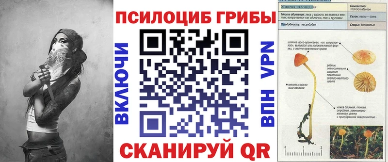 Галлюциногенные грибы ЛСД  что такое   Сальск 