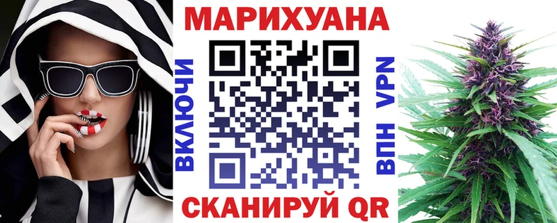 Конопля гибрид закладки Сальск